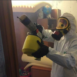 Уничтожение клопов в квартире. ВДНХ